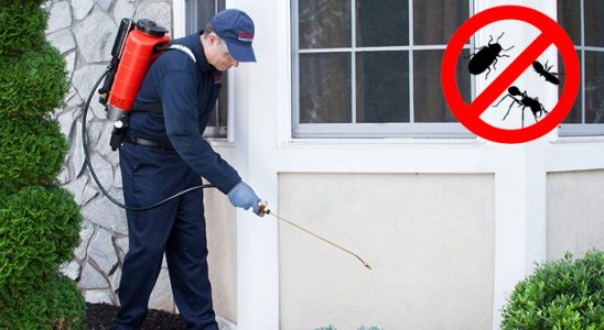 Reyhanlı Bit İlaçlama böcek ilaçlama ve haşere kontrolü — ilaclama-tr.com